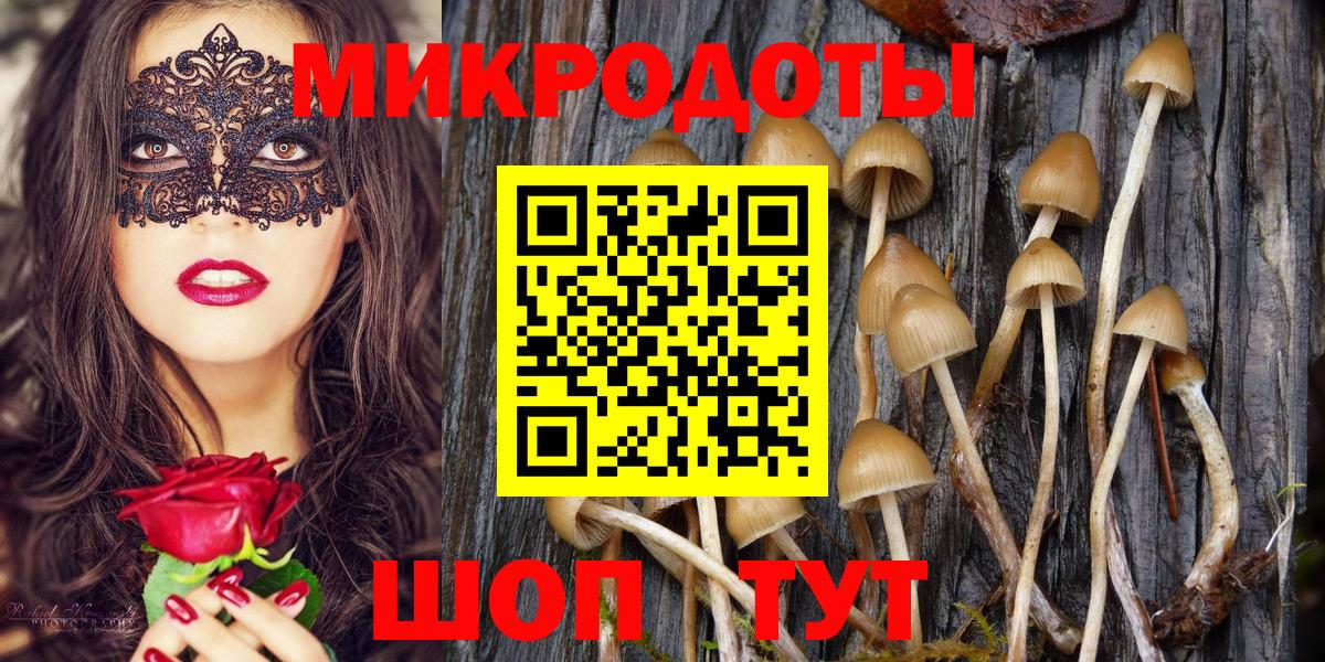 Псилоцибиновые грибы Psilocybe Бирск