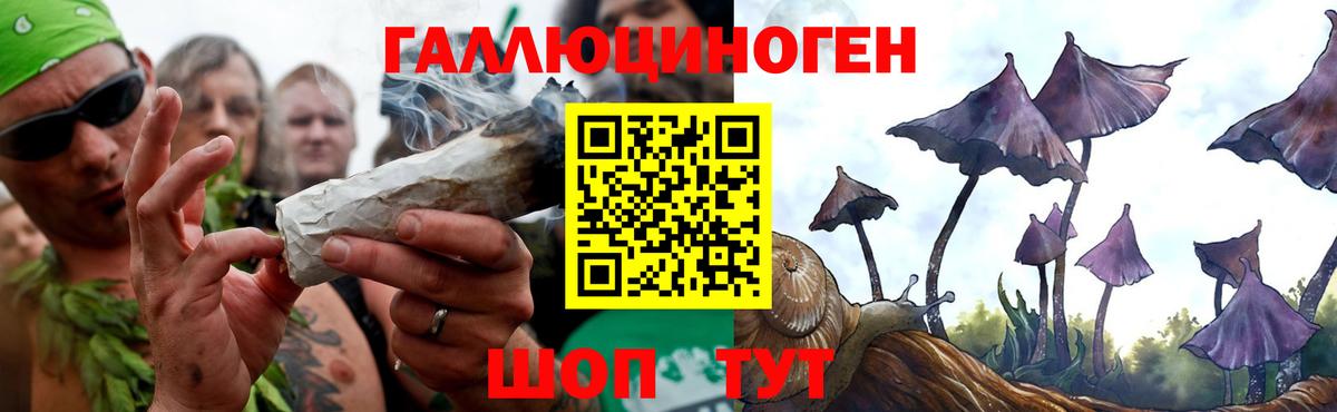 Бирск  хочу наркоту  Вход с VPN  Псилоцибиновые грибы мухоморы 